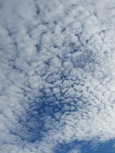 Annelies 07 Schapenwolkjes